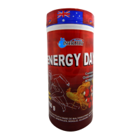 Energy Day